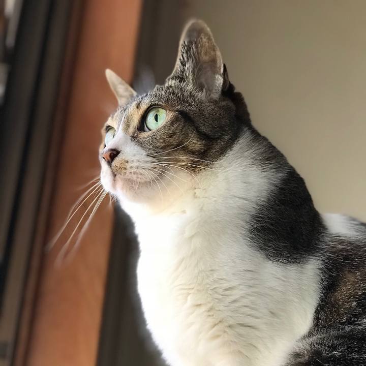 82125d06 b8d5 4984 ac03 f9e4c22d96e6 1529369694268