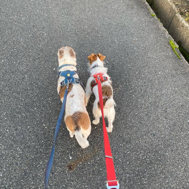 82126ac8 444a 4195 976c 4653d0c73506 1670027579215