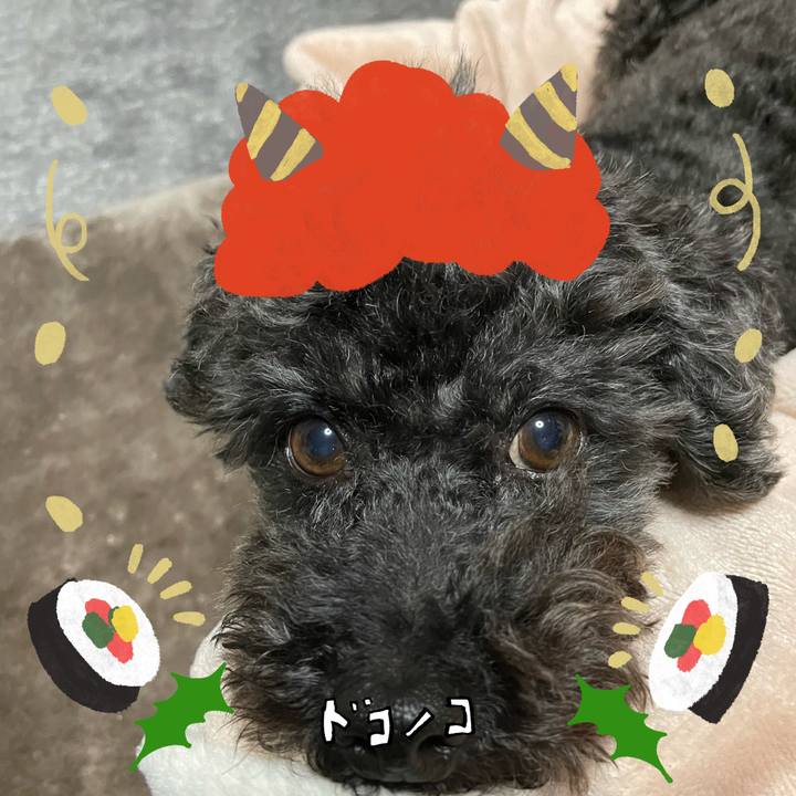 8212c36d e7fb 44e0 ab1c 844c44c27709 1706955352473