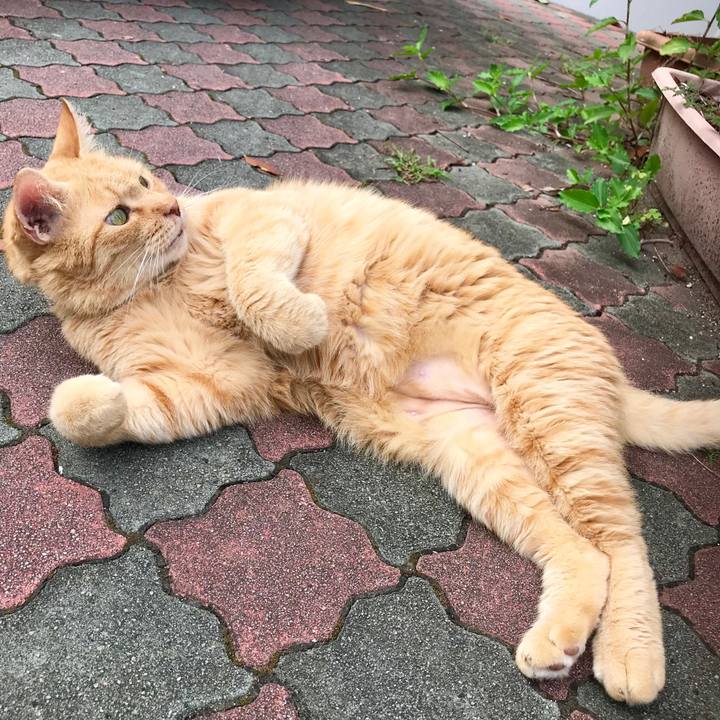 82131baa e1e0 4b81 8aa5 0affbd2cb782 1536653640343