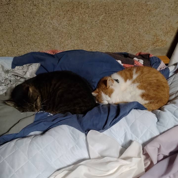 82132975 97ef 4088 8ec5 c699da3450bb 1766643416708