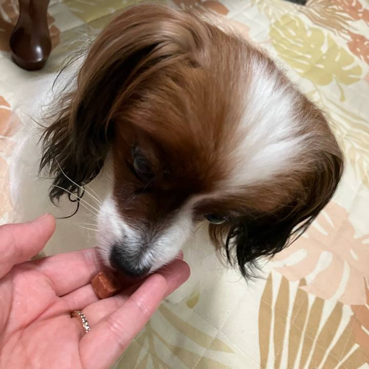 82132d38 4311 4ee6 8bf3 c947ff620749 1693906972785