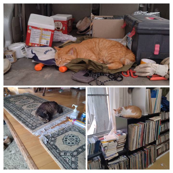 82133f75 3210 4c4f 8ecd dbb331fbcb48 1750668310173