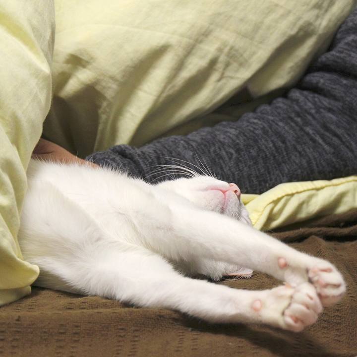 82135d0f ac6e 4d33 a640 17584e979903 1560812971056