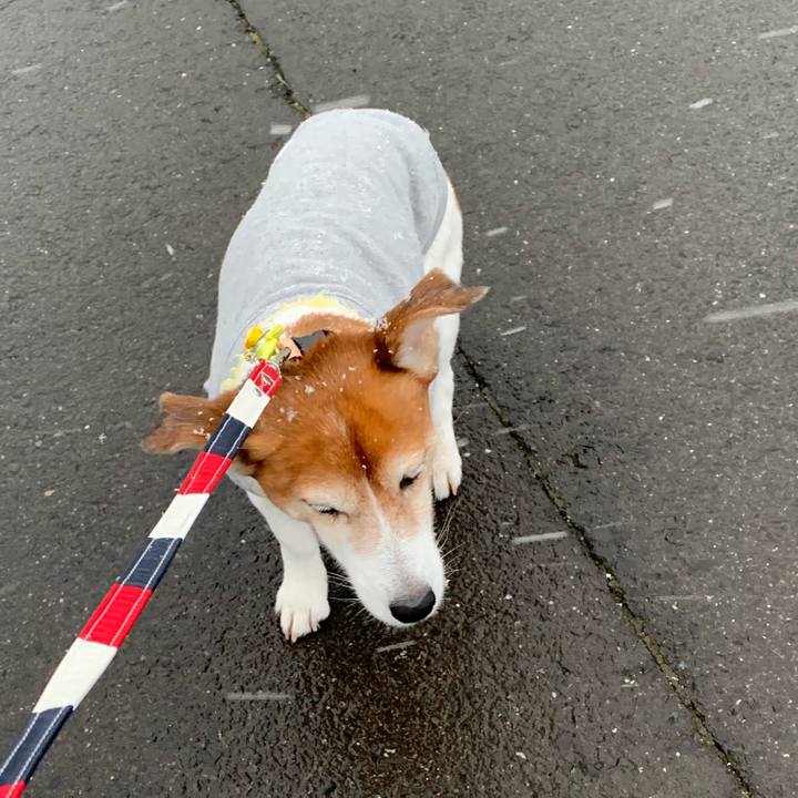 82139d19 3160 4ac8 b0d3 833068aea91d 1549731904302