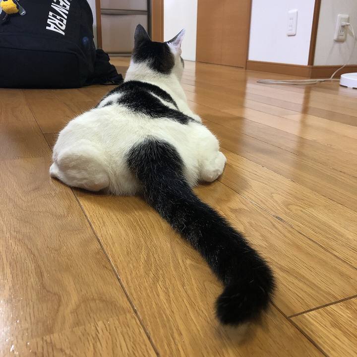 8213c7bc 633c 4374 8535 d7ffed5b4aae 1662021286998