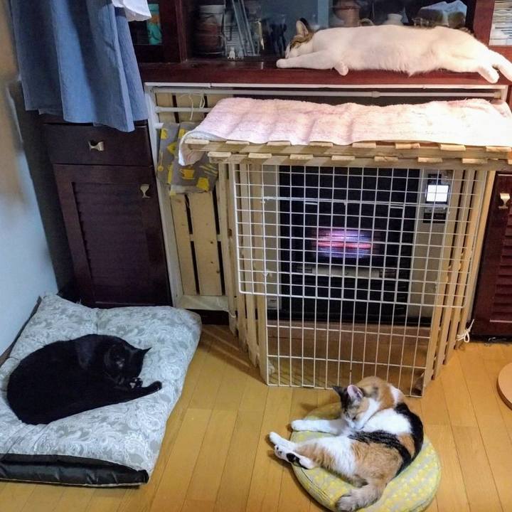 8213d917 be82 4a2b 9bc1 25ab12d885e1 1719838726387