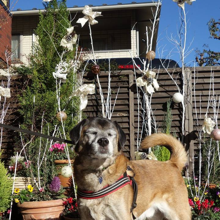 82140fa2 946d 471d a897 b7f1a31547e6 1733182643720