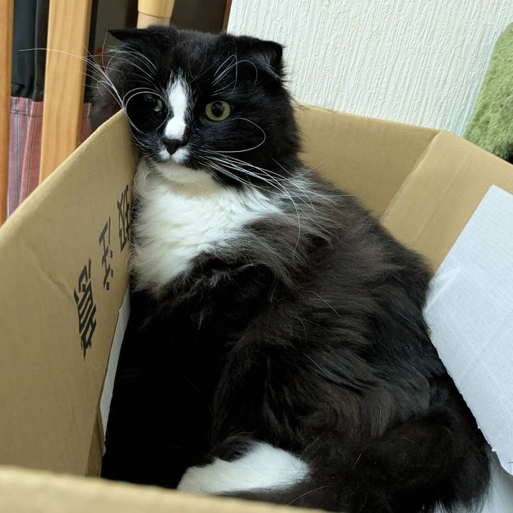 82146f98 6b56 4cc8 a8e4 08412ad4039a 1745065787412