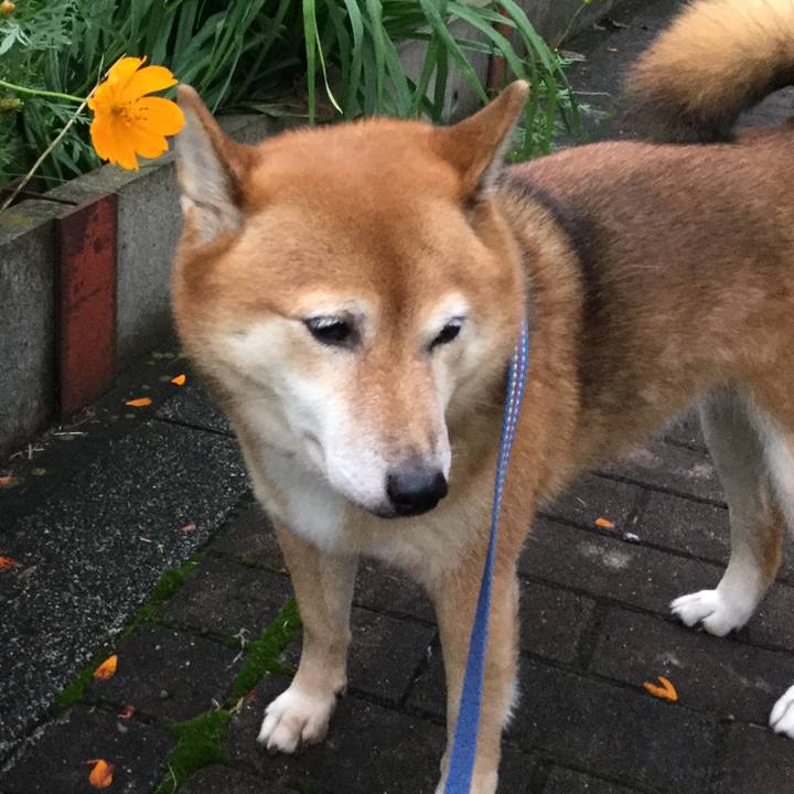 82149f7b e696 478a b5b2 8e9afeff4b31 1571732085572