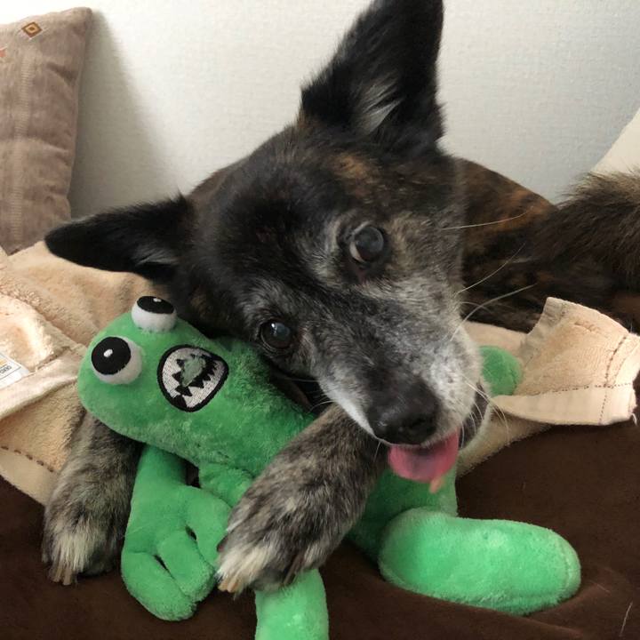 8214aaee 2261 414f a29d 97f04b37194a 1685413594883