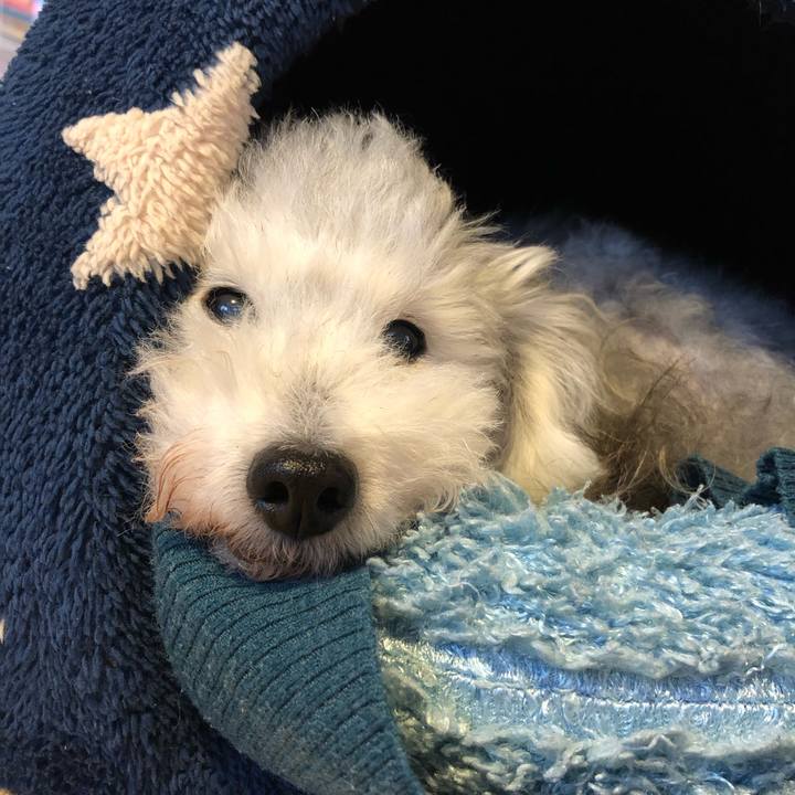 8214c0d7 c458 4ec1 b845 28fdeccc245a 1636415922488