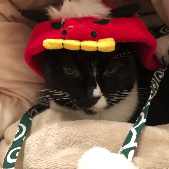 8214c9f6 81a9 41c1 9a96 0b2f0937bb7b 1546296889646