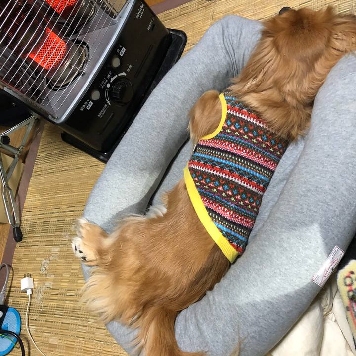 8214eb38 8a07 4c87 ab33 a3fc52018784 1518944262428