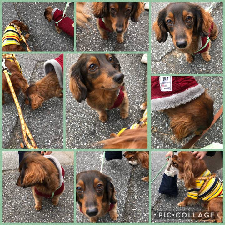 8214f1a3 cc77 4427 bf24 0d83c0390da8 1607819906415