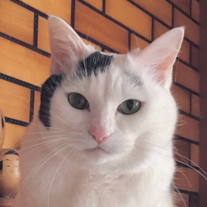 8214fbe5 41e2 4ae9 9746 2d9bd7d607c2 1611874087820