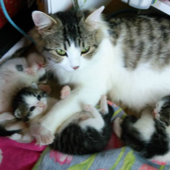 821516c5 f446 4fec 9f2b 6e1fe3935387 1531818521961