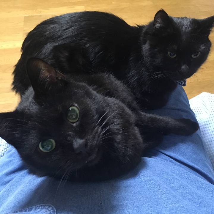 821545f2 9ce7 4022 8bf3 997f46b5f52f 1545132959455