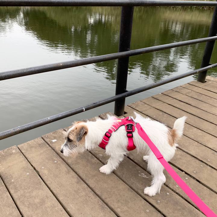 82154e91 cdca 40bb 9f2c 9f233b36010a 1571378406064