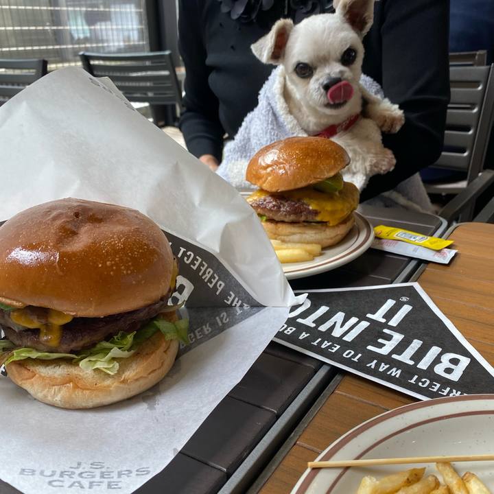 82155027 4b5d 43cf 89c2 fedc81ed5d41 1634812065172