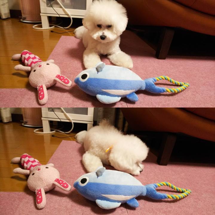 82156162 5948 4866 bbf8 d2716ad91fc1 1516089549920