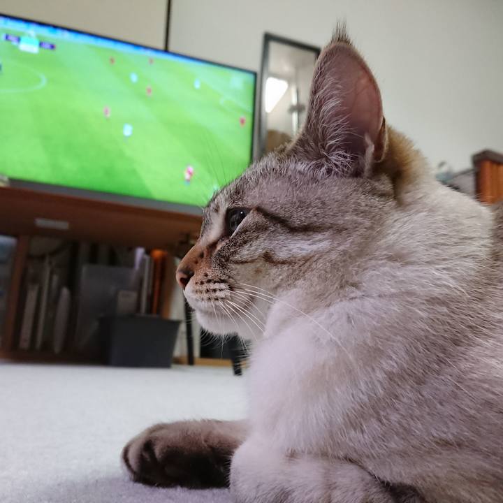 8215640c 3662 4128 9006 8265798b99be 1590578518941