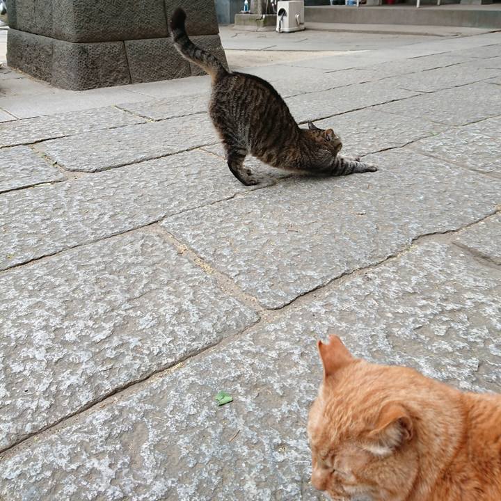 82158ac3 f3ee 4ff3 83b6 d21321d5fdfe 1682331633825