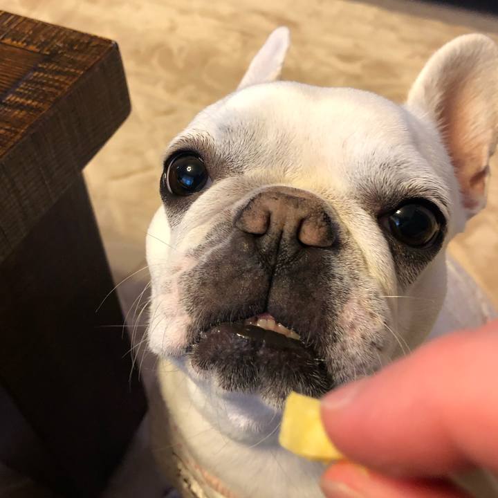 8215a174 9e1f 4f39 86fd 0bfa35b2f9d6 1553323342682