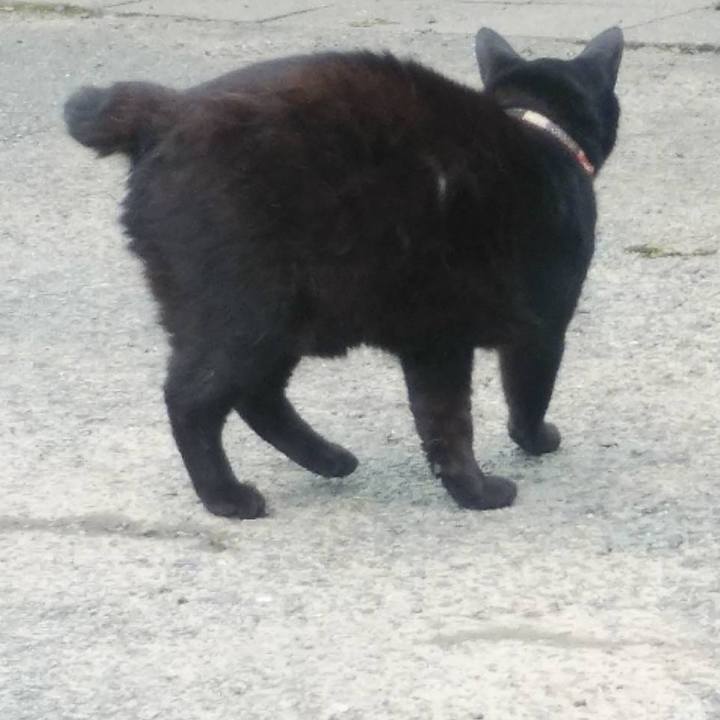 8215b574 c951 4fd4 b29a 352e9088ef5e 1593478608615