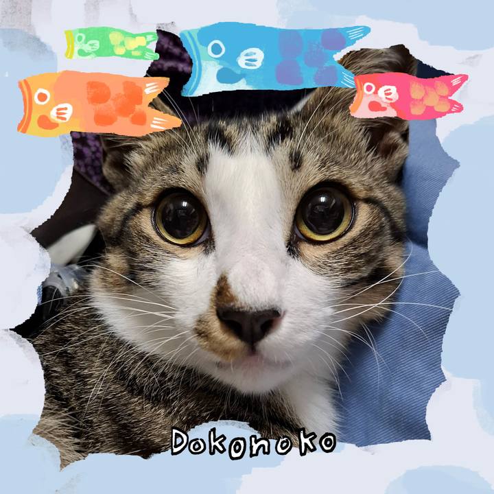 8215b963 9181 40d7 aaa0 9c15e85c99f2 1749446122371