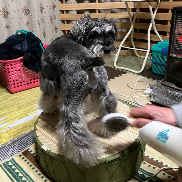 821649ee 39b8 40fd aa67 05de8183fb17 1741181037622