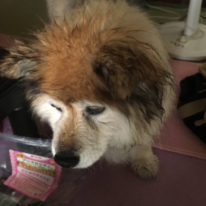 82164dfd 2fc2 4275 8446 ce8adc6494f3 1589358306377