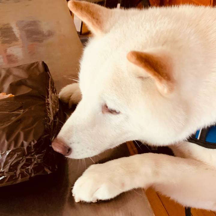 82166bdc 2bb0 4690 b2ce 9a8880ac56a3 1627084444014