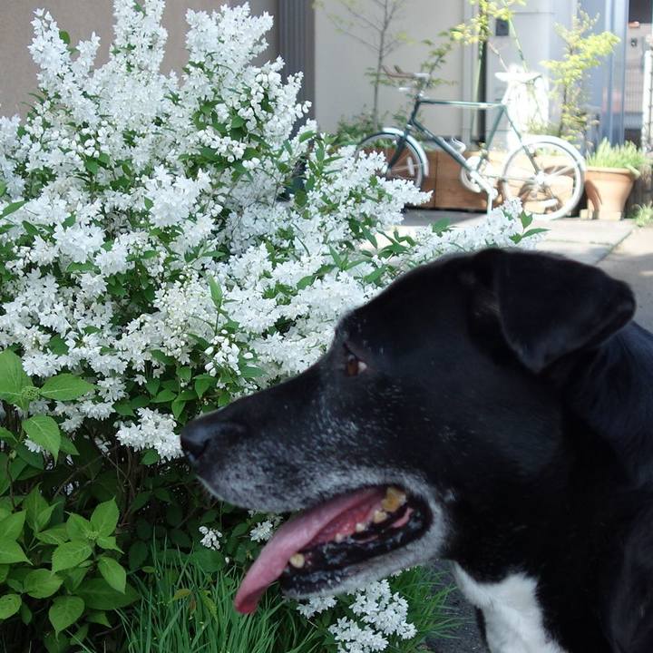 82167bc8 1af0 4e9e bb06 09f98038810d 1714266734896