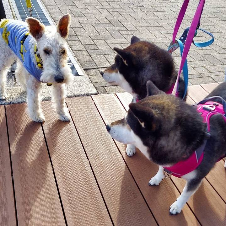 82168c9e 1b5a 4b23 b833 0560f9de0cc9 1651467423577