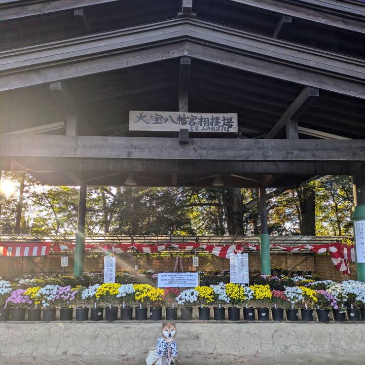 8216b1bd 4ad5 4a4f be07 e6c3b8f38313 1732283969779