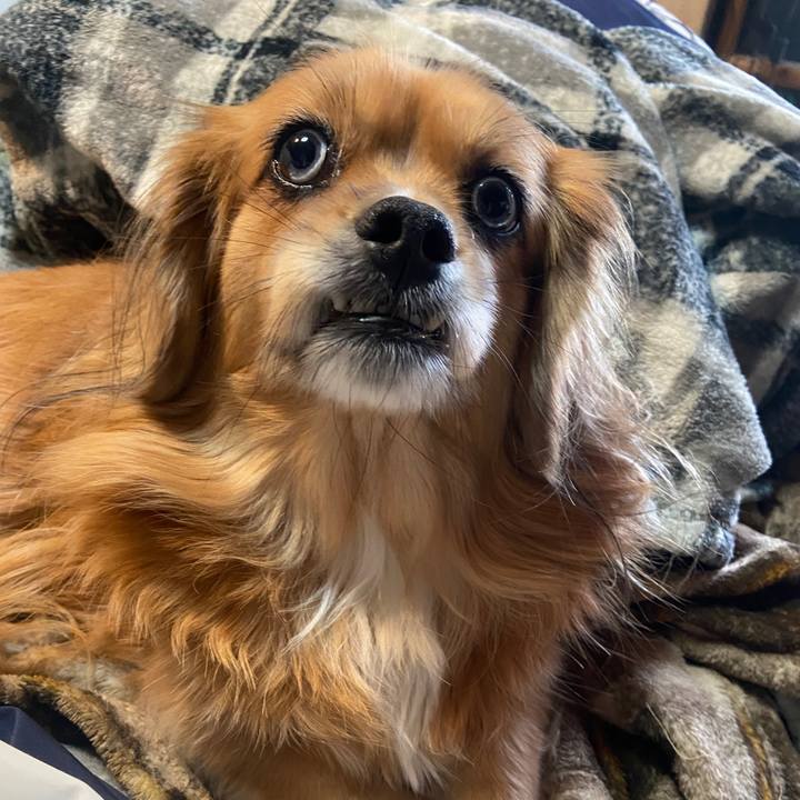 8216d037 411d 47b4 b763 f11e61f8eeb4 1669241699092