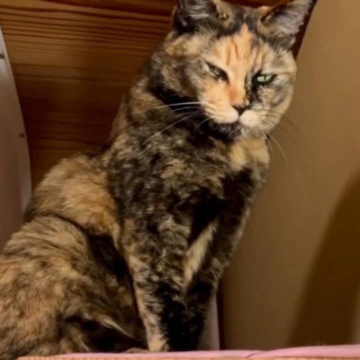 8216dc08 6d33 49ed 98af 4fa4c9d3c960 1731985878777