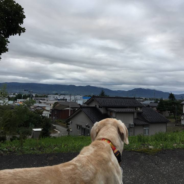 8216e606 db7f 4d93 8c1e 99b6200416f1 1537050103209