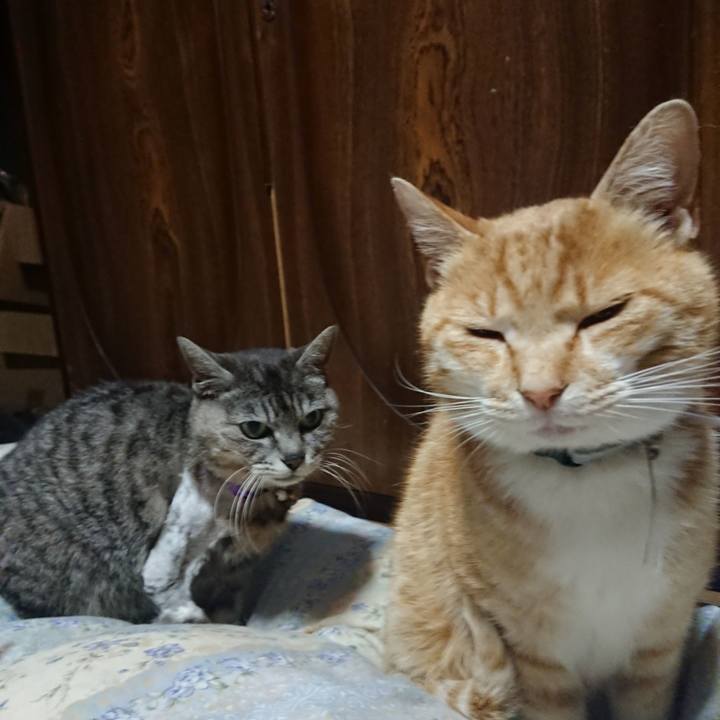 8216e75f c426 425d 8739 d30e6ae56428 1589889218651