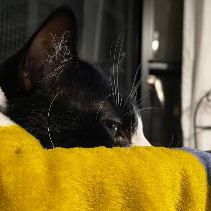 82172ee8 1c8c 4f62 8269 22e03c67fcbb 1653129656620