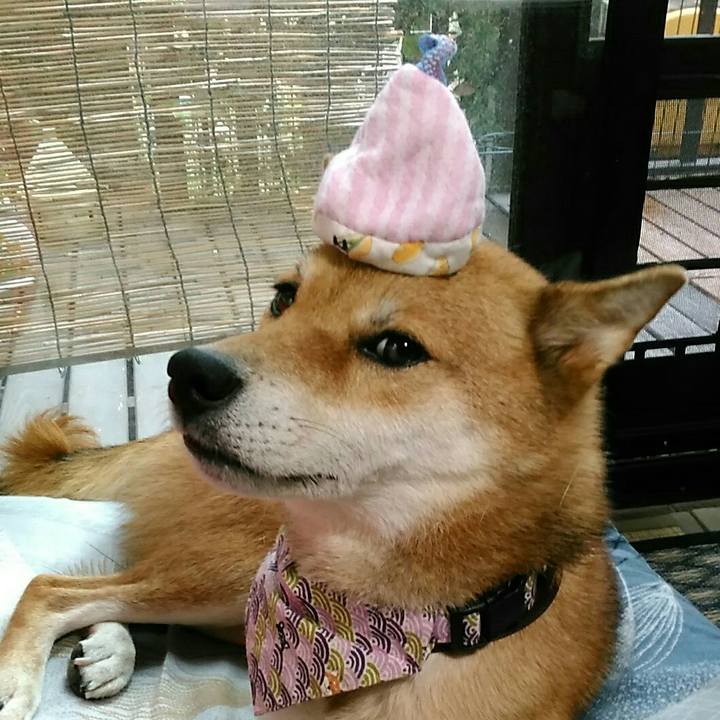 82173274 56b3 440b 9a37 3727a7f4296b 1535957176664