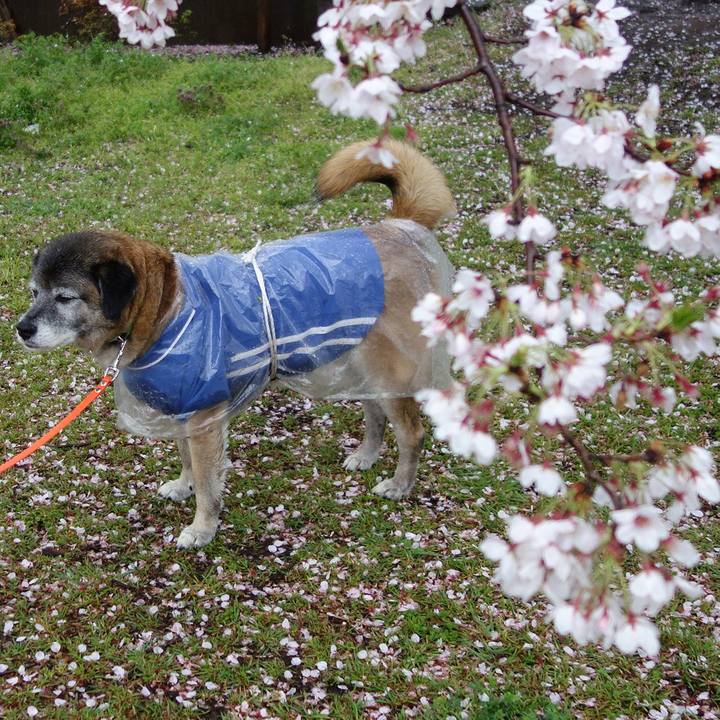 82173644 6dcf 4479 8b3b 9c712086171a 1554856567103