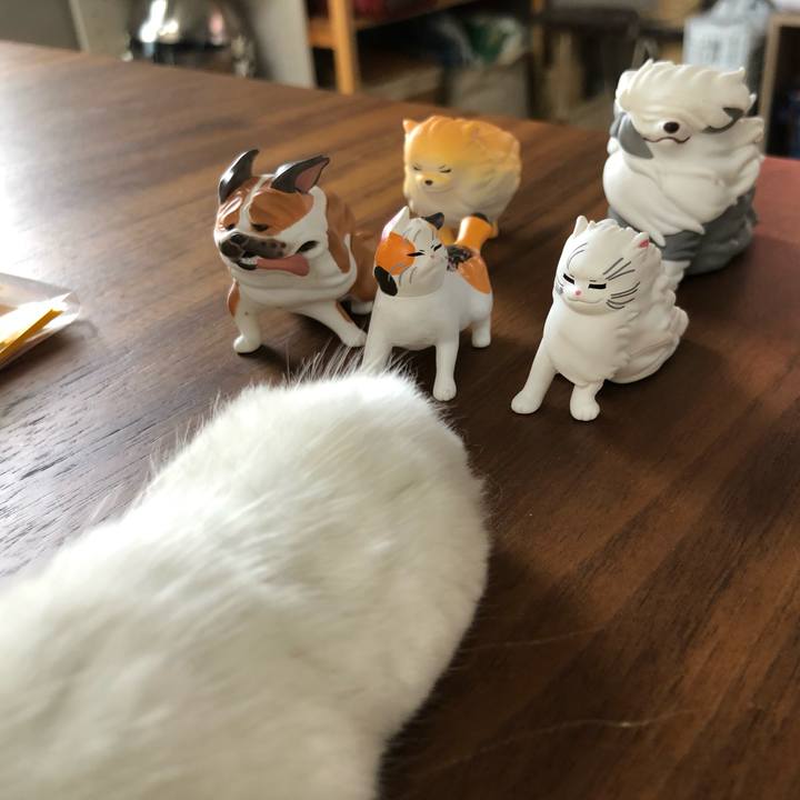 82173ac6 6d89 4c76 ac52 2f779a8d8774 1627782493254