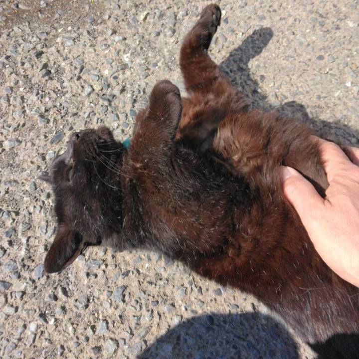 8217693d 5076 414a 93a2 31815fe1c3eb 1712725489175