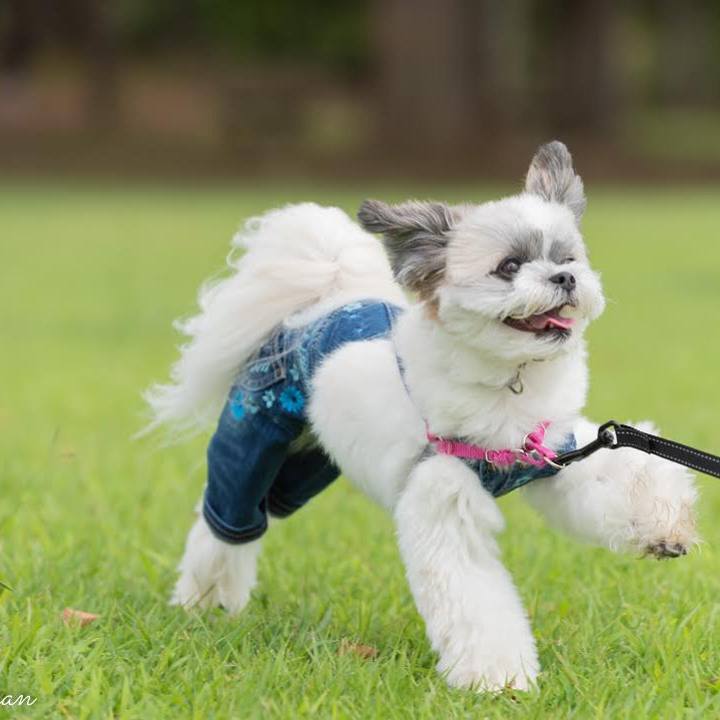 8217c0ea 0cf6 4d67 9489 c8fe0b5d2479 1569744500843