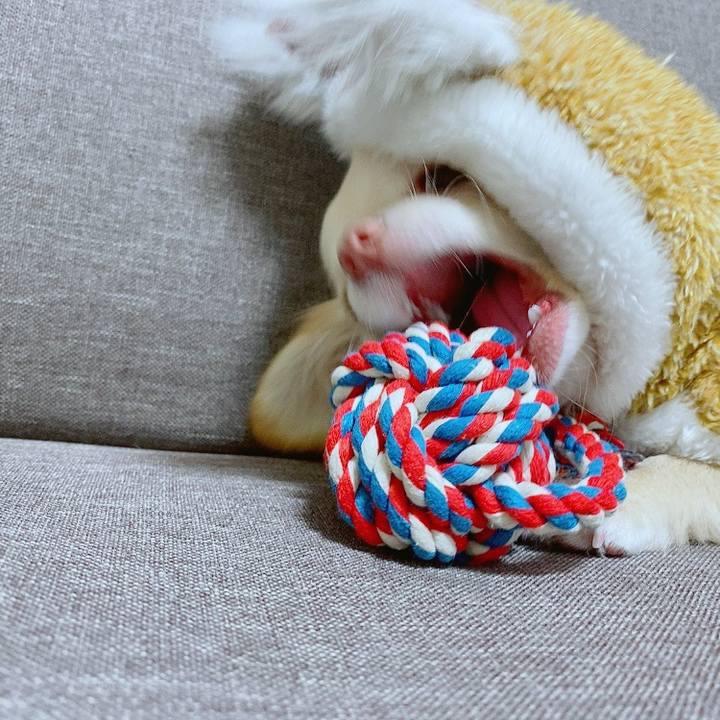 8217c7d0 4934 4568 811a bb635fd55e54 1609818169262