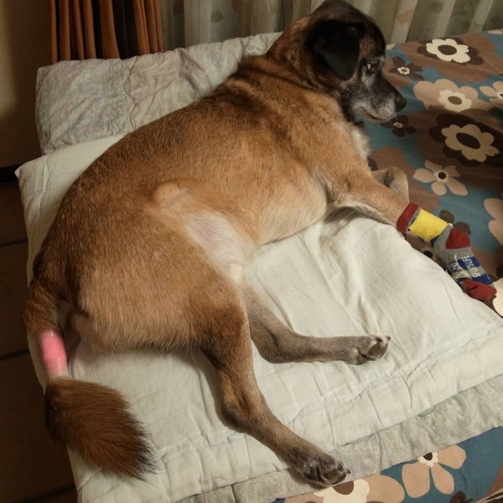 8217c8f1 3a85 4f80 ab75 62fa2e0dbd80 1583672040113