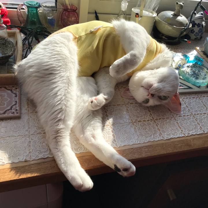 8217e0df 076e 4c55 8058 d332a9ea69d9 1643424280298