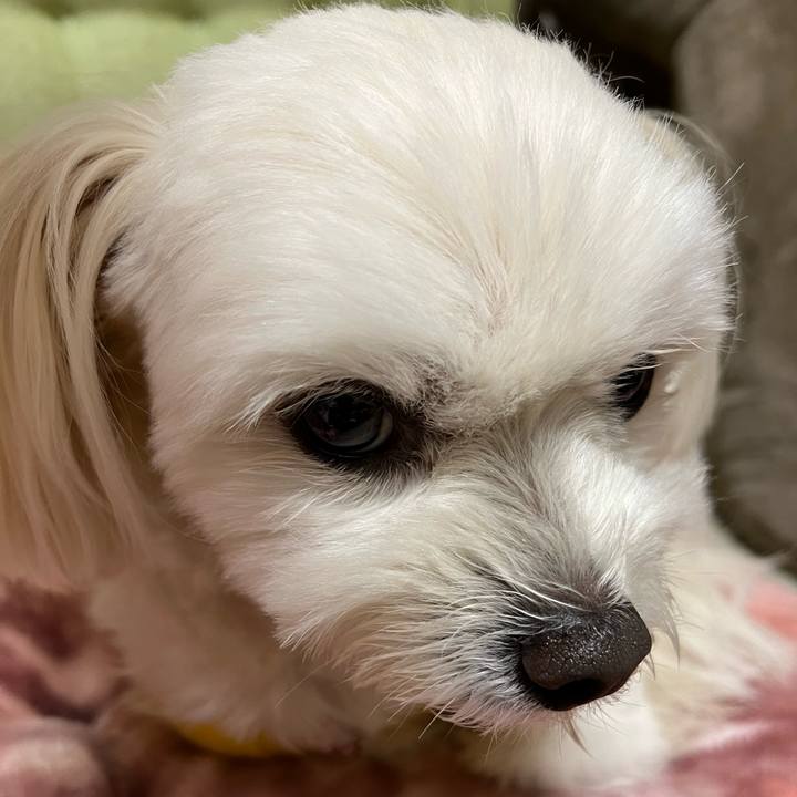 8217eb30 bb17 4b47 9c9b a54bd6686762 1671797704655